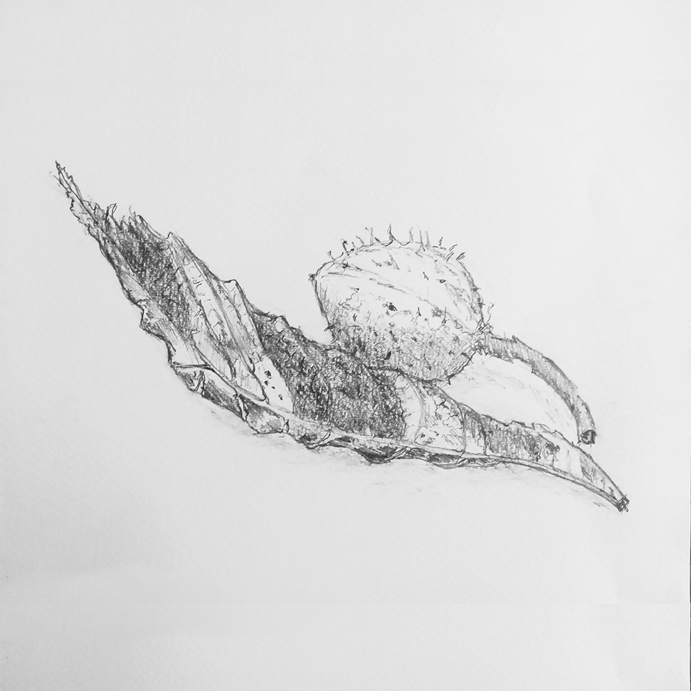 Nature morte - Crayon